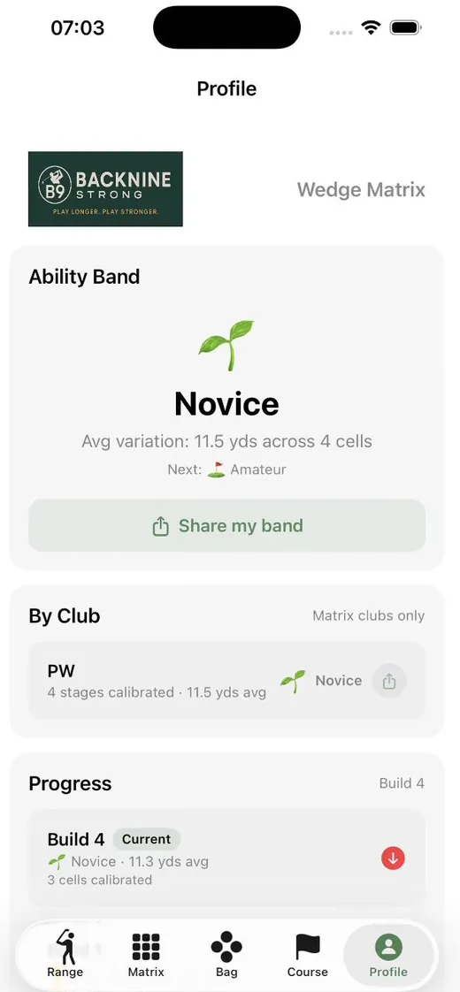 Profile screen: Ability Band, band by club and progress by build